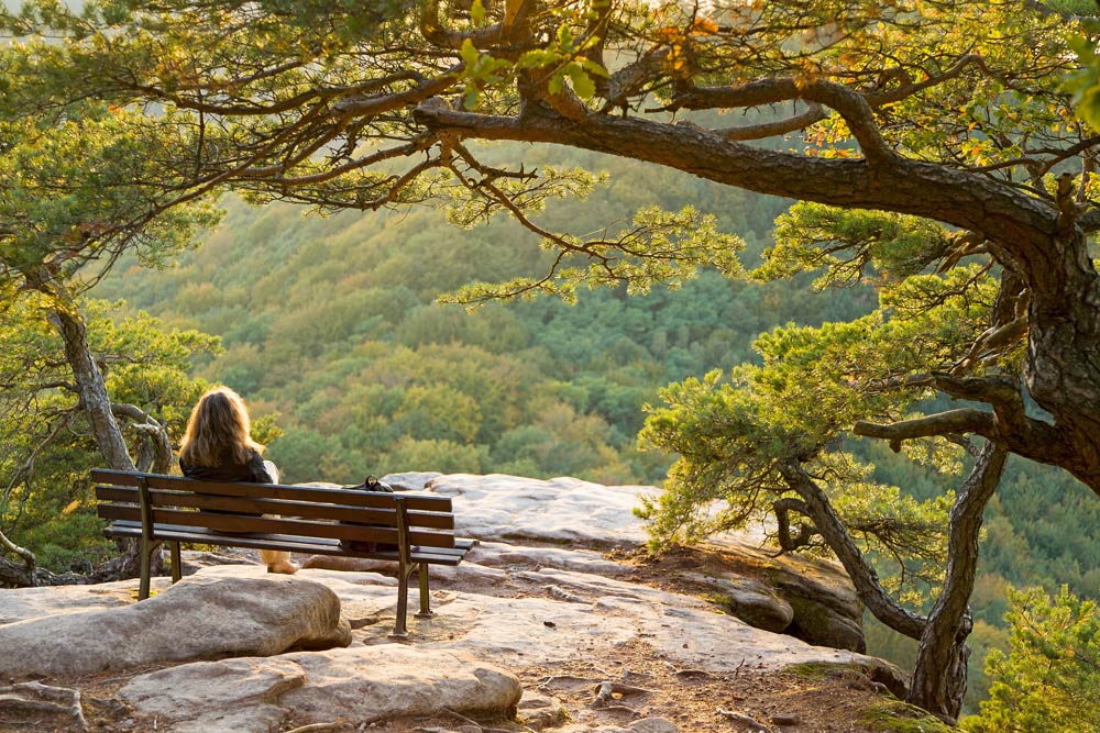8 Self Care Tips for Mental Health 8 Self Care Tips for Mental Health